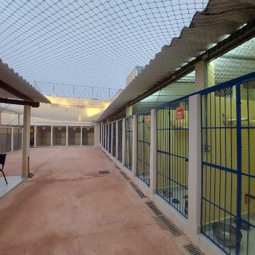 Proteção para Gatis e Canis